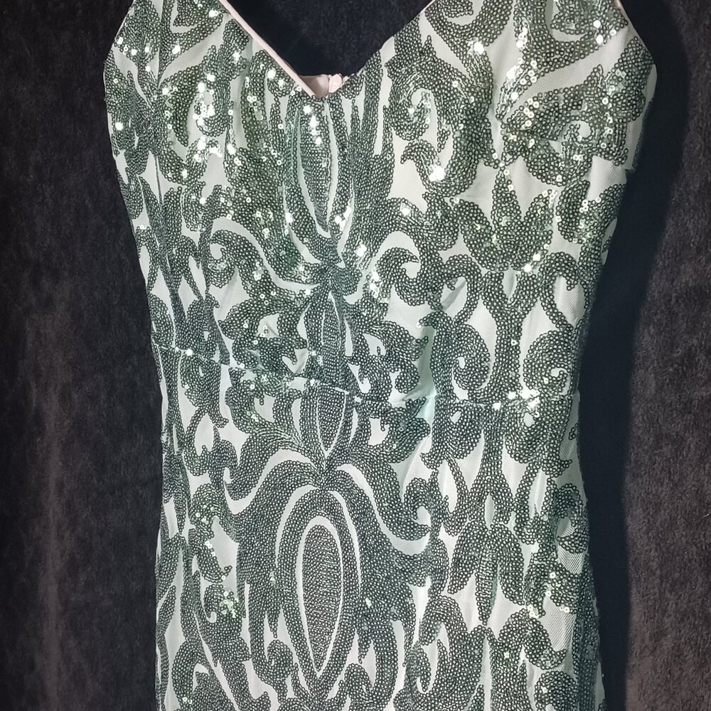 Mermaid, Maxi, Prom, Pageant, Mardi Gras, HoCo - Picture 4 of 5
